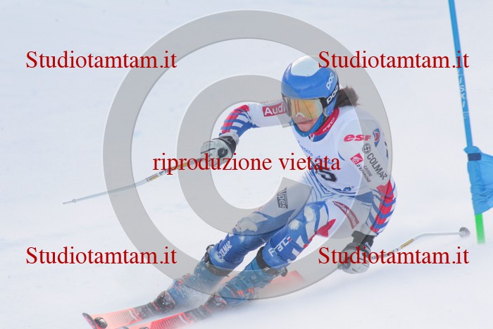 MAT_2633.jpg