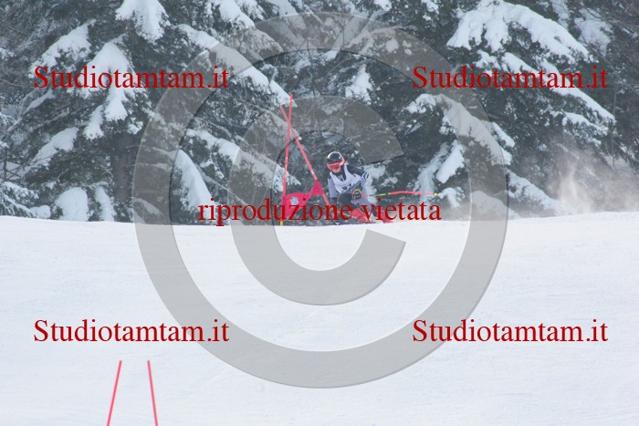MAT_2651.jpg