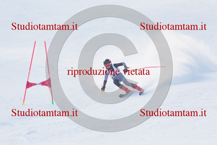 MAT_2654.jpg