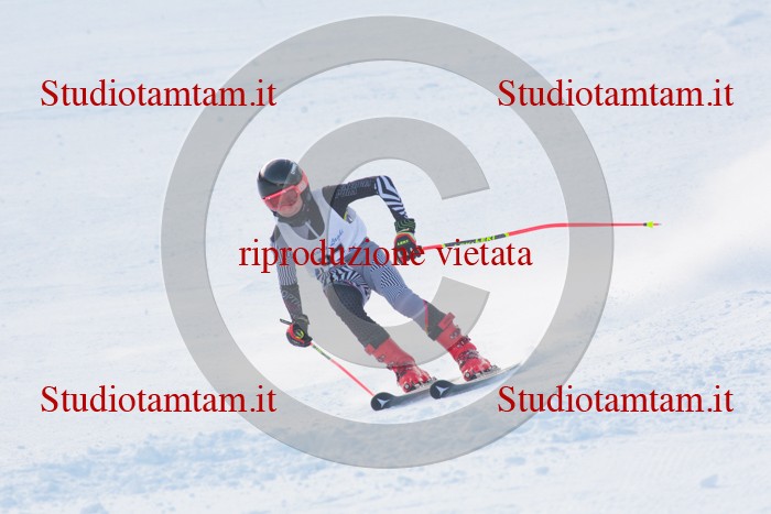 MAT_2658.jpg