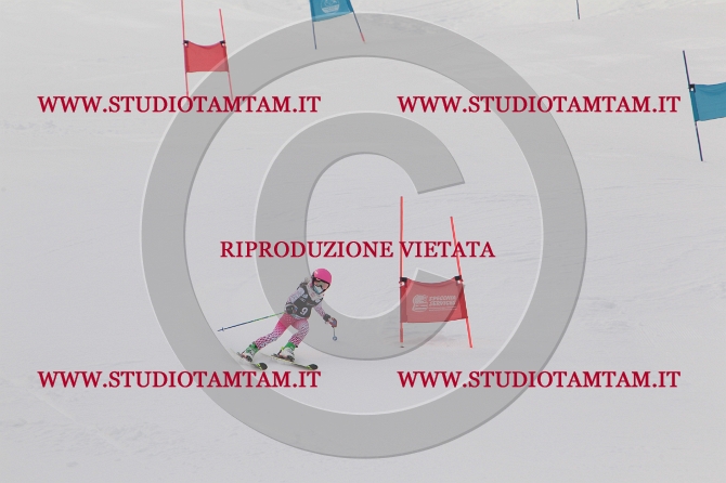 mat_0079.JPG