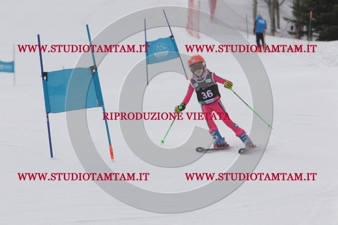 mat_0283.JPG