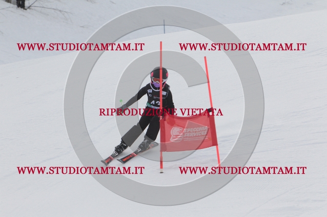 mat_0334.JPG