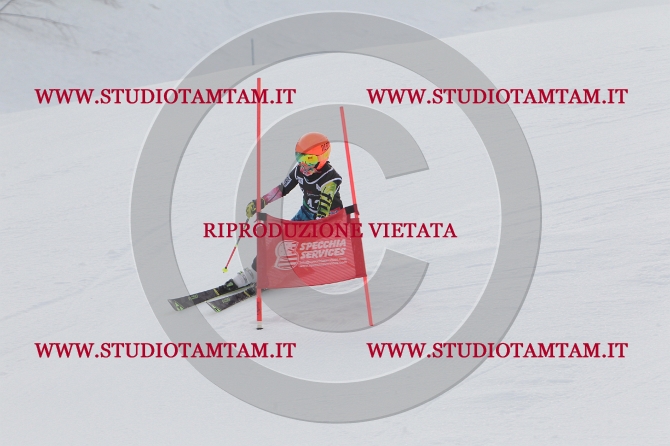 mat_0344.JPG