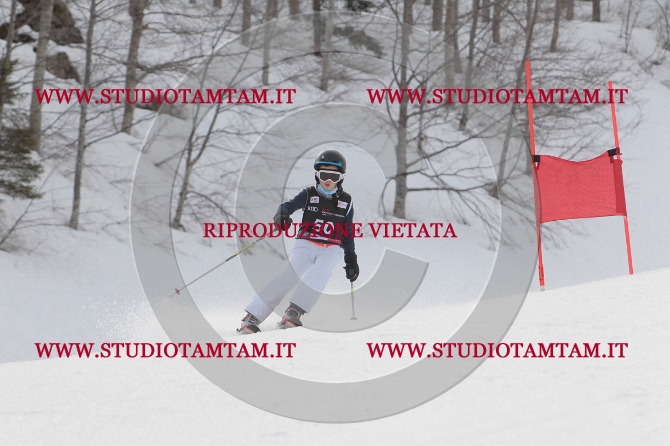 mat_0390.JPG