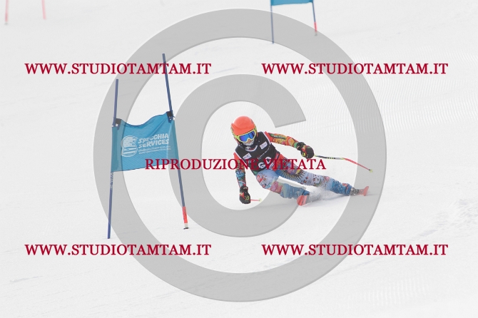 mat_0474.JPG