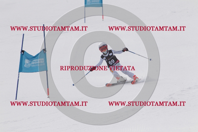 mat_0572.JPG