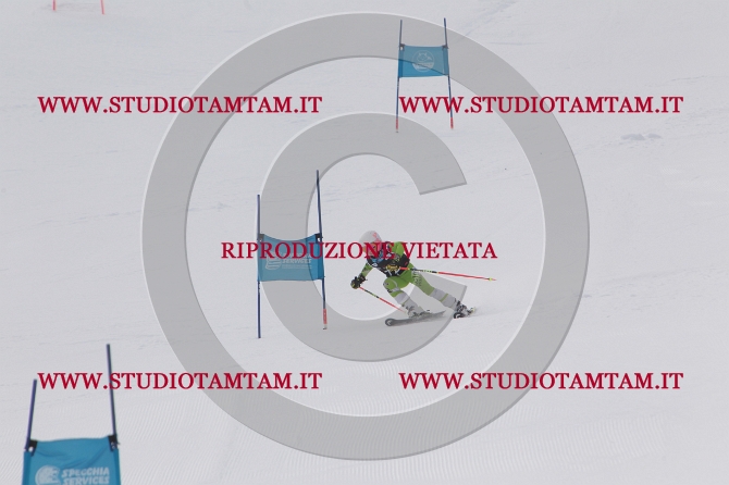 mat_0597.JPG