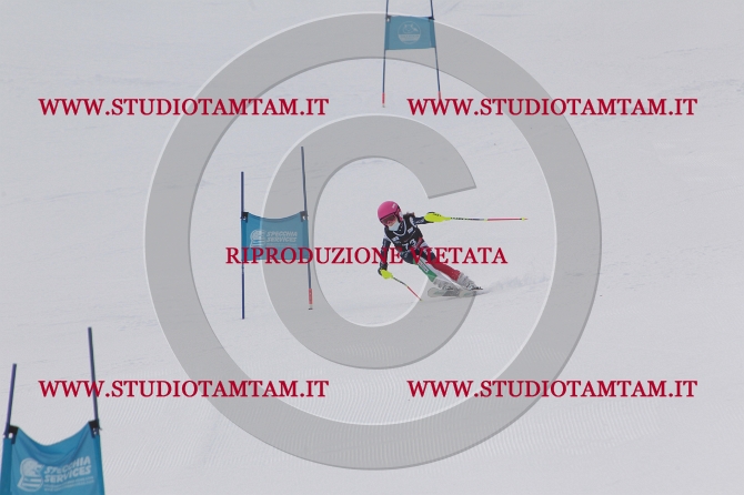 mat_0609.JPG