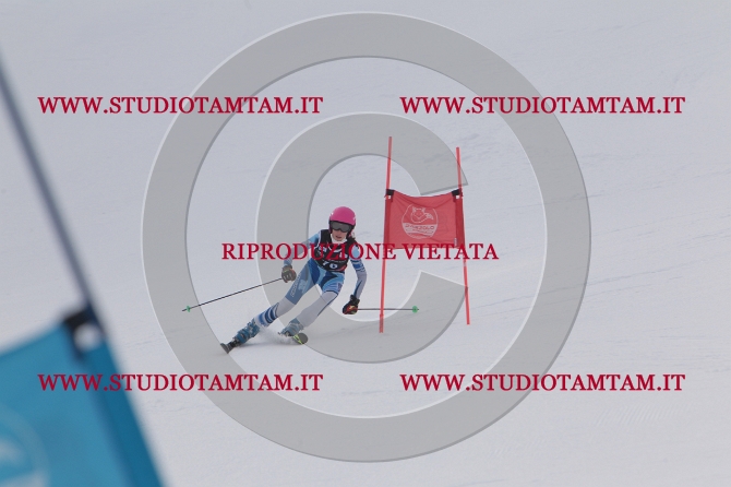 mat_0636.JPG