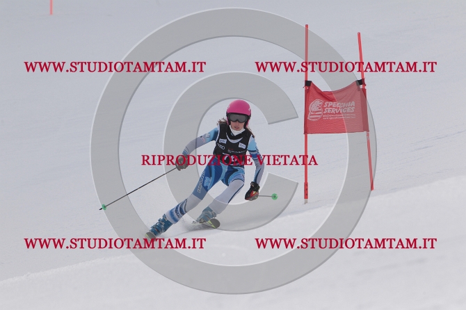 mat_0641.JPG