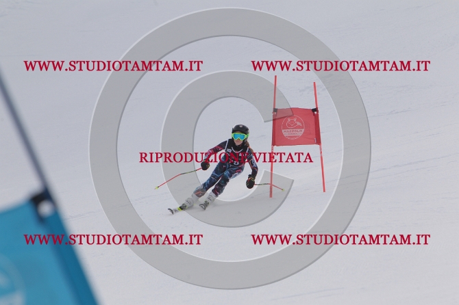 mat_0659.JPG