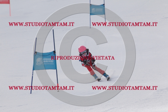 mat_0696.JPG