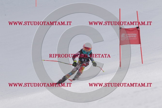 mat_0709.JPG