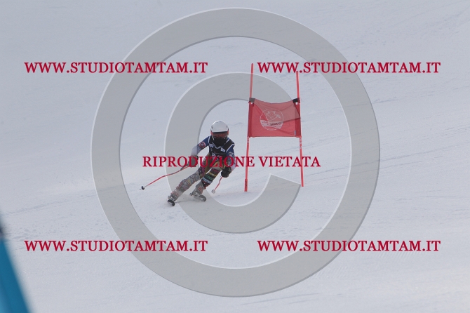mat_0800.JPG