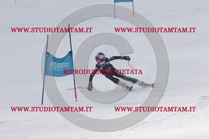 mat_0812.JPG