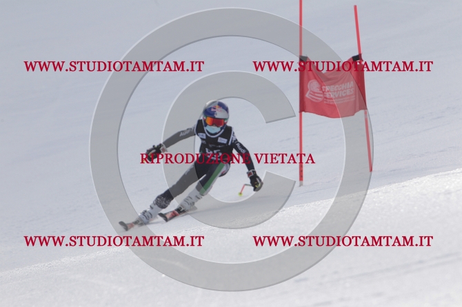 mat_0815.JPG
