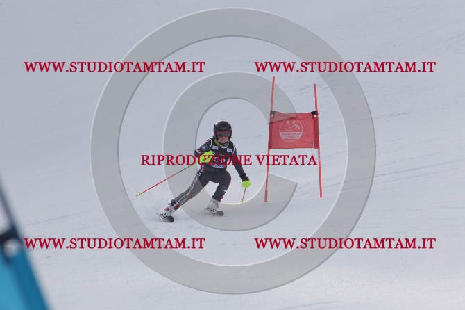 mat_0840.JPG