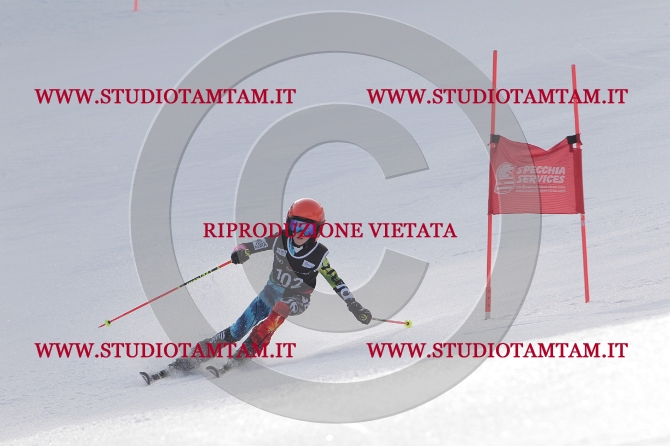 mat_0873.JPG