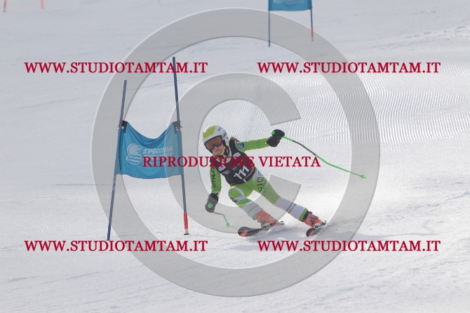 mat_0965.JPG
