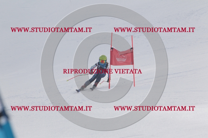mat_0982.JPG