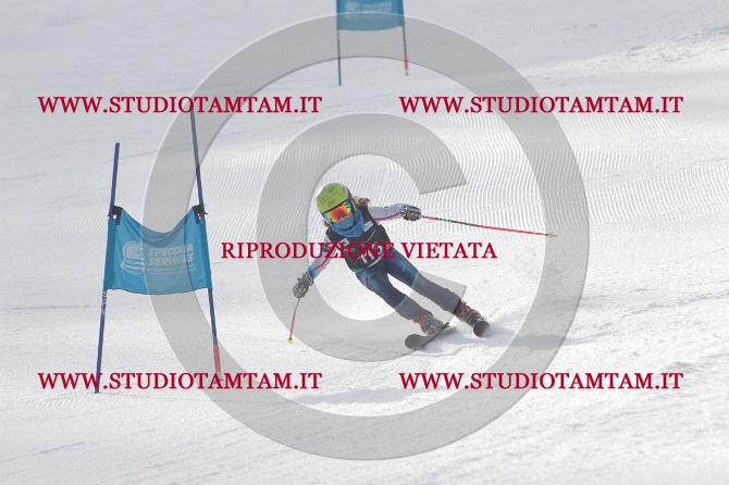mat_0985.JPG