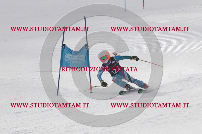 mat_1071.JPG