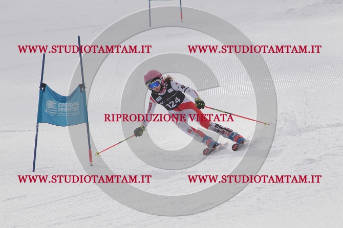 mat_1094.JPG