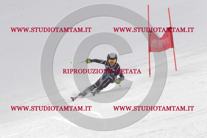 mat_1134.JPG