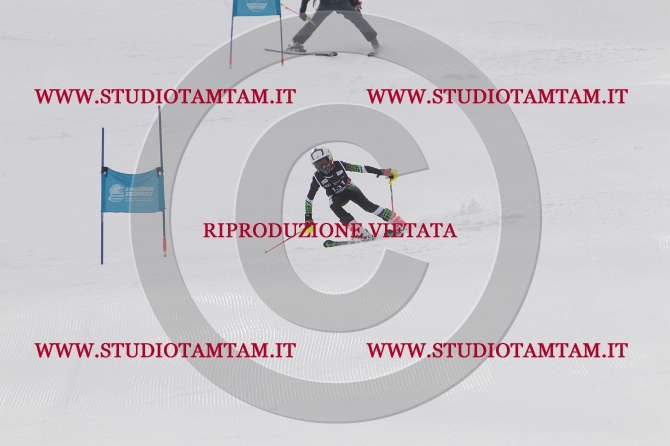 mat_1157.JPG