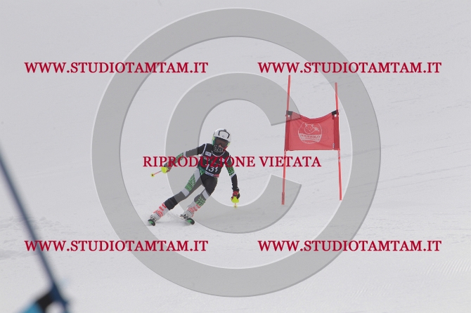 mat_1159.JPG