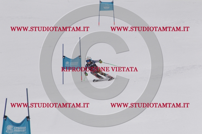 mat_1208.JPG