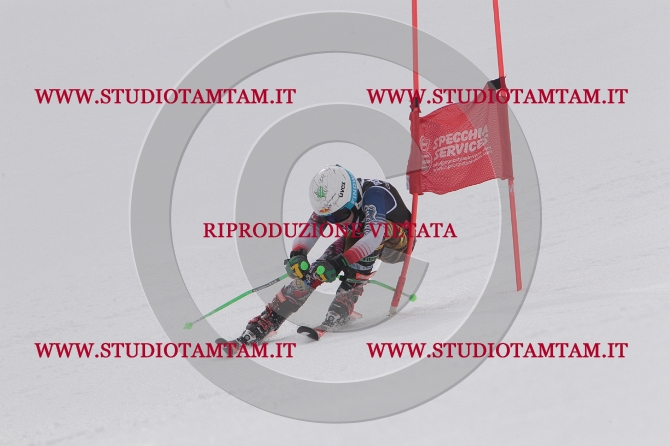 mat_1214.JPG