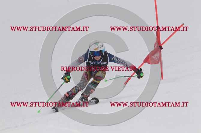 mat_1216.JPG