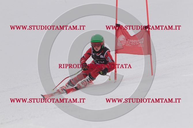 mat_1235.JPG