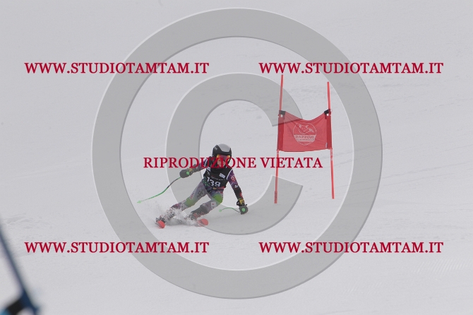 mat_1242.JPG