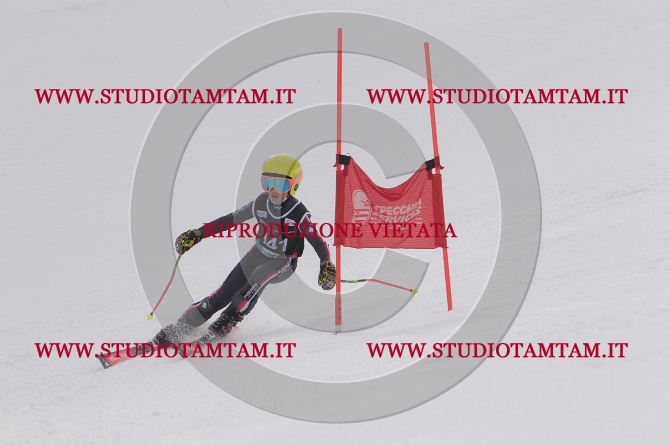 mat_1257.JPG