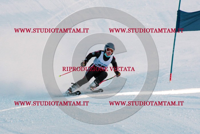 MAT_2855.jpg