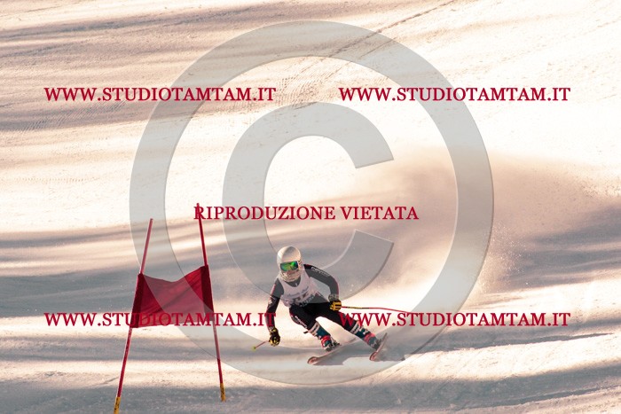 MAT_2872.jpg