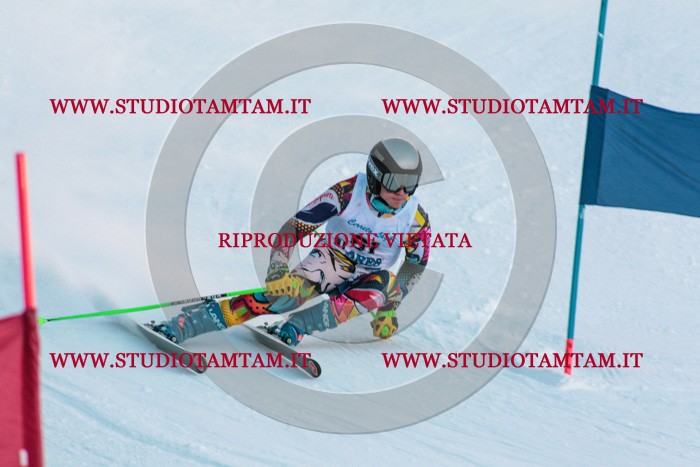 MAT_2913.jpg