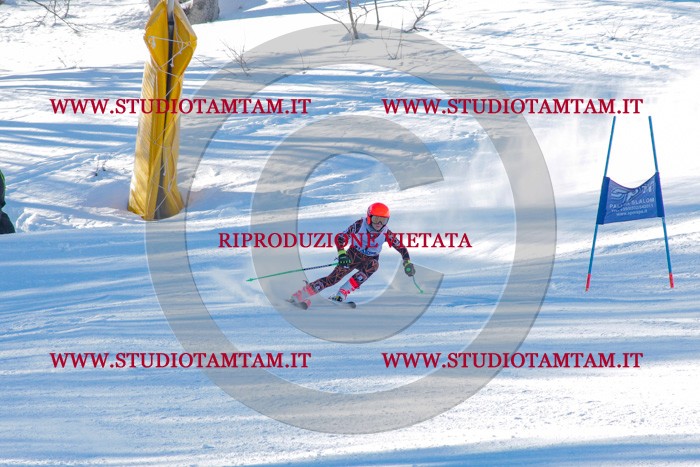 MAT_3039.jpg