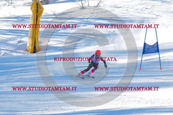 MAT_3040.jpg
