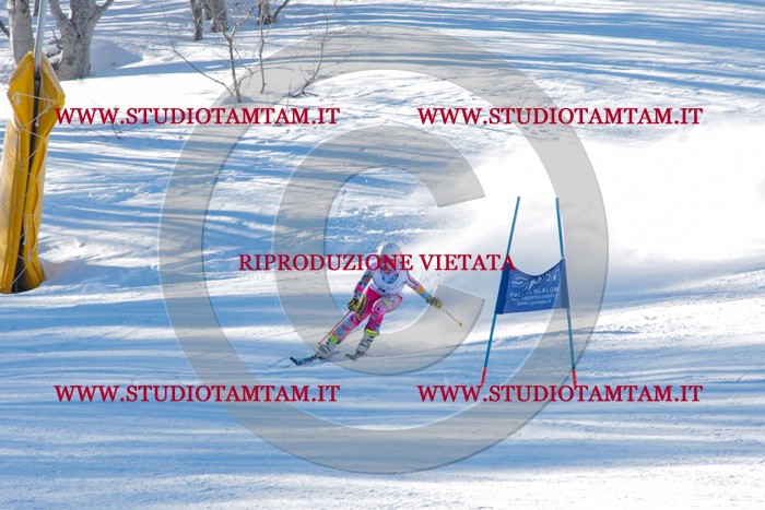 MAT_3047.jpg