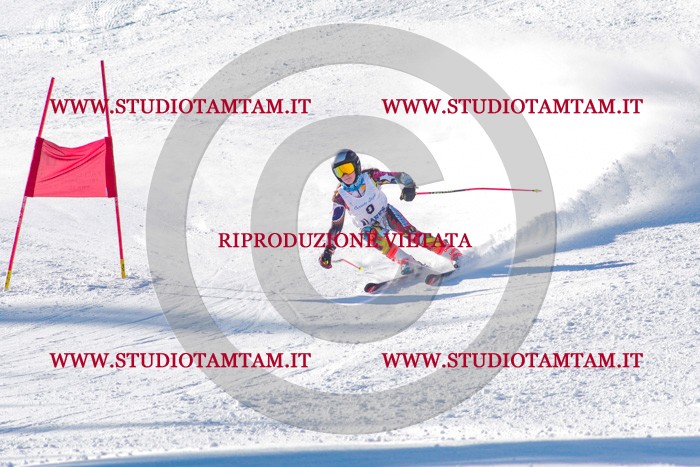 MAT_3108.jpg