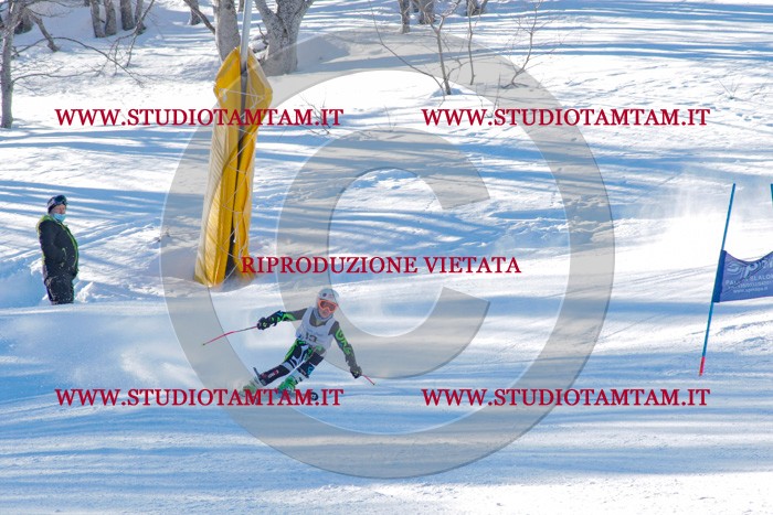 MAT_3137.jpg