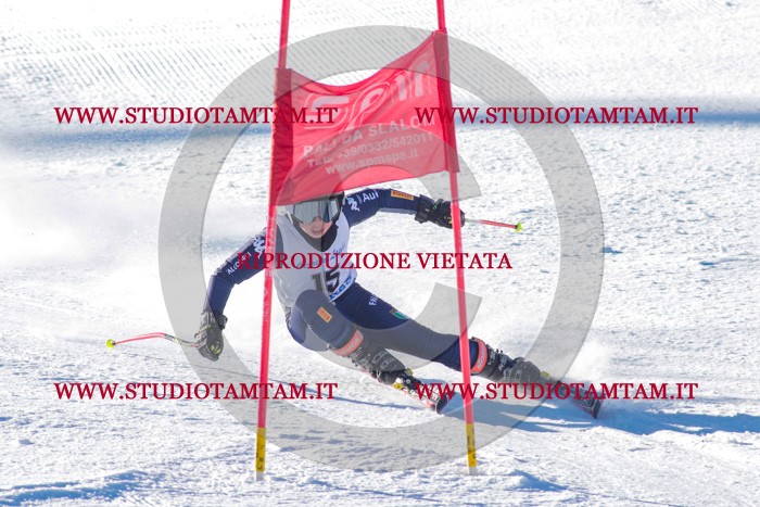 MAT_3161.jpg