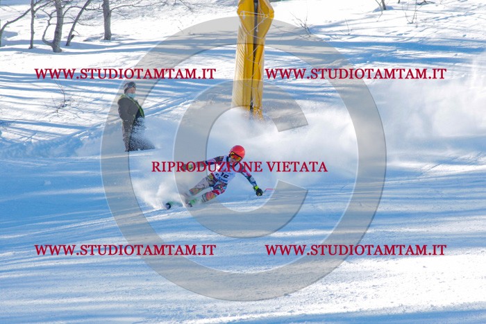MAT_3165.jpg