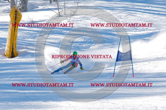MAT_3172.jpg