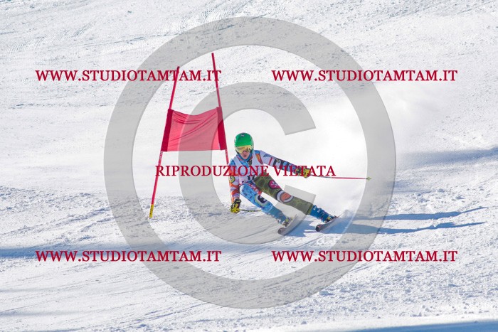 MAT_3175.jpg