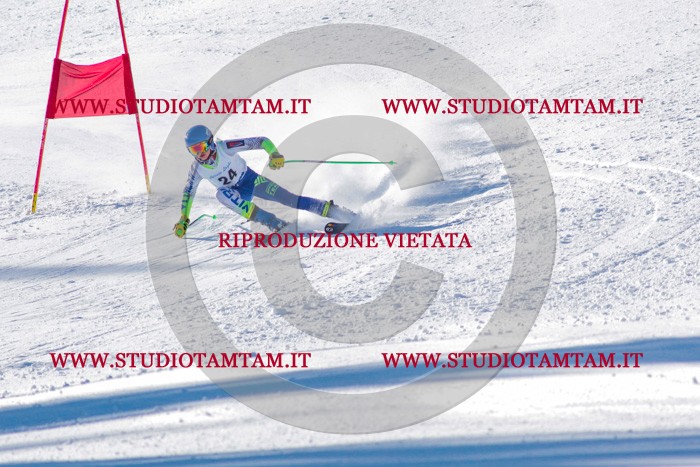 MAT_3236.jpg